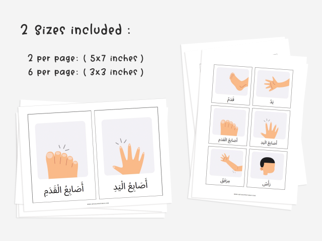 24 Arabic Body Parts Flashcards, Educational Printable Cards - Image 3