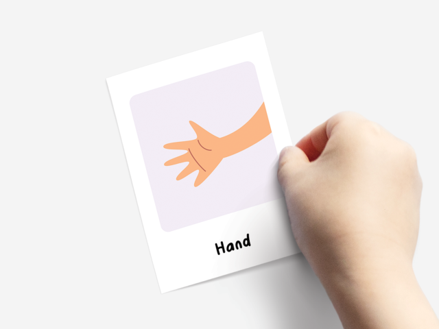 24 Body Parts Cards, Montessori flashcards, Educational Printable Cards - Image 2