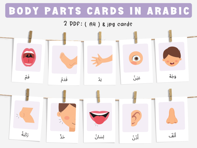 24 Arabic Body Parts Flashcards, Educational Printable Cards